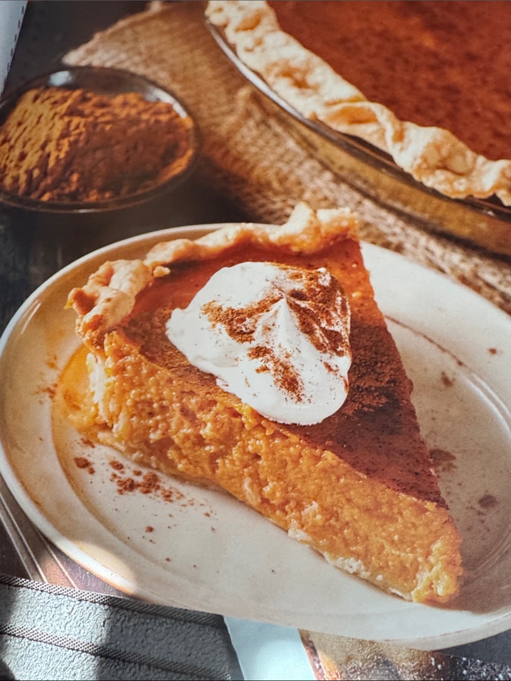Delicious Under Pressure Cookbook -plus pillsbry/FwL/& My food&Family - Picture 6 of 8